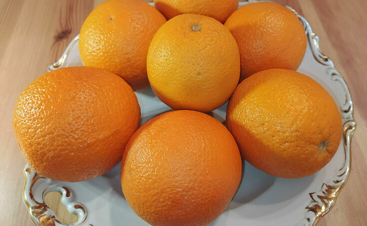 Апельсины на тарелке. Фото: Global Look Press